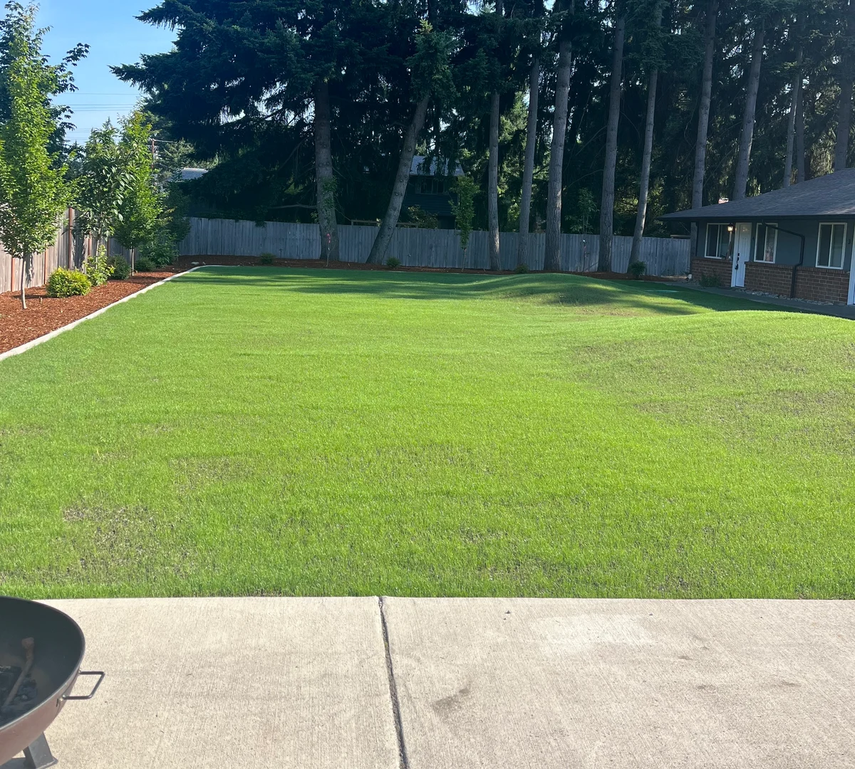 Freshly mowed green lawn with clean mulch borders and mature trees